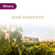 Jose Pariente-Verdejo 2013 White Wine